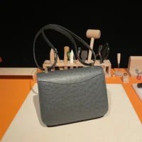 Hermes Women Constance 24 Bag Nata Ostrich Leather-SilverGold (1)