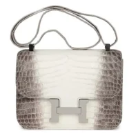 Hermes Women Constance 24 Himalaya Matte Niloticus Crocodile Palladium Hardware (1)