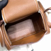 Hermes Women Lindy Mini 19 in Clemence Leather-BrownGold (1)