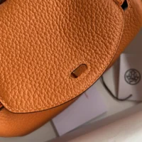 Hermes Women Lindy Mini 19 in Clemence Leather-OrangeGold (1)