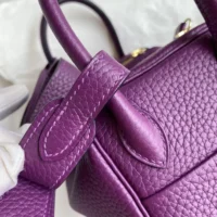 Hermes Women Lindy Mini 19 in Clemence Leather-PurpleGold (1)