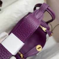 Hermes Women Lindy Mini 19 in Clemence Leather-PurpleGold (1)