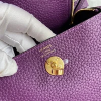 Hermes Women Lindy Mini 19 in Clemence Leather-PurpleGold (1)