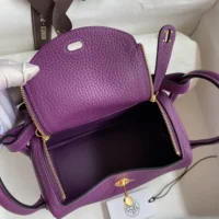 Hermes Women Lindy Mini 19 in Clemence Leather-PurpleGold (1)