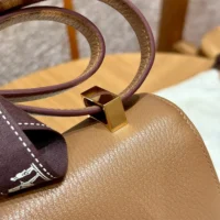 Hermes Women Verrou 21 Bag in Epsom Leather-BrownGold (1)