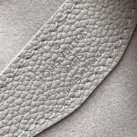 Louis Vuitton LV Women Boulogne PM Embossed Grained Cowhide Leather-Gray (10)