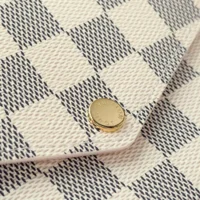 Louis Vuitton LV Women Felicie Pochette Damier Azur Canvas N40491 (1)