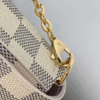 Louis Vuitton LV Women Felicie Pochette Damier Azur Canvas N40491 (1)