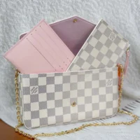 Louis Vuitton LV Women Felicie Pochette Damier Azur Canvas N40491 (1)