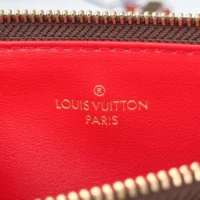 Louis Vuitton LV Women Felicie Pochette Damier Ebene Canvas N40492 (1)