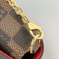 Louis Vuitton LV Women Felicie Pochette Damier Ebene Canvas N40492 (1)