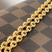 Louis Vuitton LV Women Felicie Pochette Damier Ebene Canvas N40492 (1)