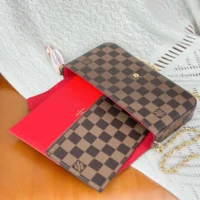 Louis Vuitton LV Women Felicie Pochette Damier Ebene Canvas N40492 (1)