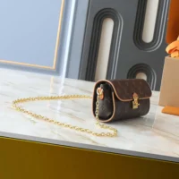 Louis Vuitton LV Women Pochette Camille Monogram M13566 (1)
