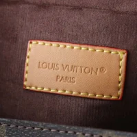 Louis Vuitton LV Women Pochette Camille Monogram M13566 (1)