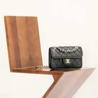 Chanel Women Mini Flap Bag Metallized Braided Calfskin Gold Tone Metal-Black (1)