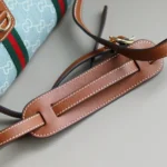 Gucci Women Mini Gg Handbag-Blue ‎859975FAFTZ8661