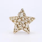 Chanel Women Star Minaudiere Gold-Tone Metal & Strass-AS5658