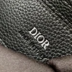 Dior Men Saddle A5 Triangle Pouch Black Grained Calfskin