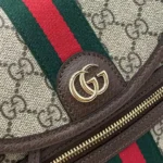 Gucci Women Ophidia Small Backpack ‎836854FAE0J9867