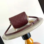 Louis Vuitton LV Women Mini Bumbag Embossed Grained Cowhide Leather M25905