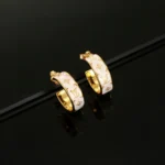 Louis Vuitton Women LV Nanogram Enamel Earrings M01830
