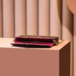 Louis Vuitton LV Women Pochette Félicie Monogram Coated Canvas-Brown M81896