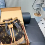 Louis Vuitton LV Women Nano Noé Monogram Coated Canvas M81266