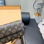 Louis Vuitton LV Women Wallet on Chain Ivy Monogram Coated Canvas M81911