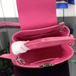 Louis Vuitton Women Capucines BB Handbag Pink Crocodilian Leather - Image 11