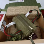 Gucci Women Mini GG Handbag-Green 859975CAAB03057