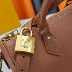 Louis Vuitton LV Women Speedy Soft 30-Brown M24892