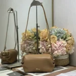 Dior Women Bow Pouch Camel Supple Lambskin S3900PQWC