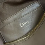 Dior Women Bow Pouch Camel Supple Lambskin S3900PQWC