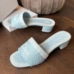 Dior Women Dentelle Heeled Slide Sky Blue Dior Oblique Embroidered Cotton and White Lace