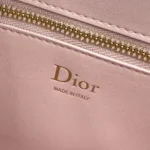 Dior Women Small Dior Médaillon Flap Bag Rose Tendre Grained Calfskin M3919QDWP