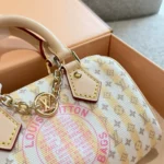 Louis Vuitton LV Unisex Nano Speedy in Signature Minigram Canvas Accented-M29030