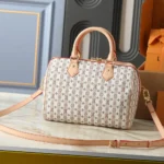 Louis Vuitton LV Unisex Speedy Bandoulière 20 M29459