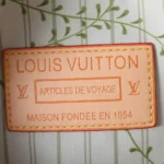 Louis Vuitton LV Unisex Speedy Bandoulière 20 M29459