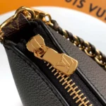 Louis Vuitton Women Calfskin Multipass Arizona