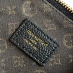 Louis Vuitton Women Calfskin Multipass Arizona