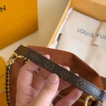 Louis Vuitton Women Multipass Coated-canvas Trim Brown M3A149