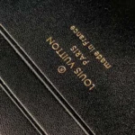 Louis Vuitton Women Wallet On Chain Capucines Black M12143 - Image 10